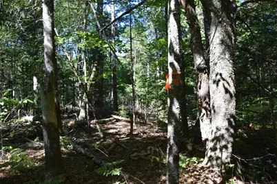 M11 L3-1 Nelson Hill Road, Athens, ME 04912 - Photo 15