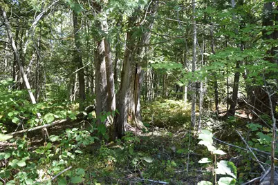 M11 L3-1 Nelson Hill Road, Athens, ME 04912 - Photo 7