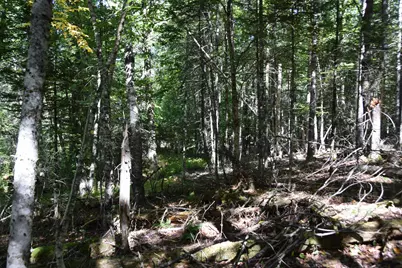 M11 L3-1 Nelson Hill Road, Athens, ME 04912 - Photo 11