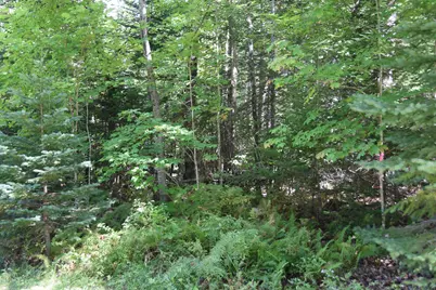 M11 L3-1 Nelson Hill Road, Athens, ME 04912 - Photo 1