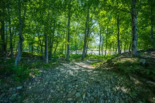 117 Park St, Phillips, ME 04966 - Photo 79