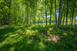 117 Park St, Phillips, ME 04966 - Photo 77