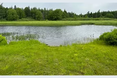 180-184 Orange Lake Road, Whiting, ME 04691 - Photo 39