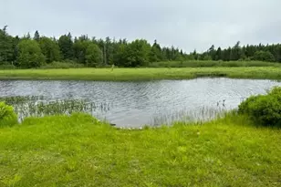 180-184 Orange Lake Rd, Whiting, ME 04691 - Photo 39