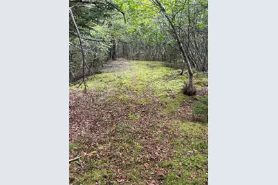 463 Black Duck Cove Road, Beals, ME 04611 - Photo 9