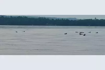 7 Birch Island, Saint Albans, ME 04971 - Photo 131