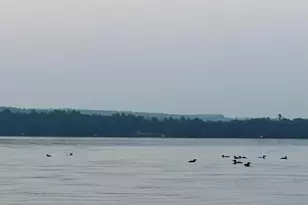 7 Birch Island, Saint Albans, ME 04971 - Photo 131