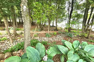 7 Birch Island, Saint Albans, ME 04971 - Photo 9