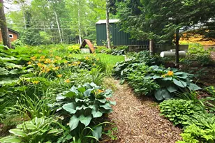 7 Birch Island, Saint Albans, ME 04971 - Photo 117
