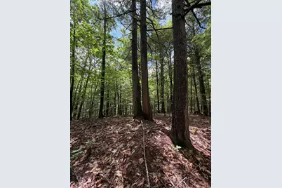 Lot 44 Rolfe Road, Harrison, ME 04040 - Photo 11