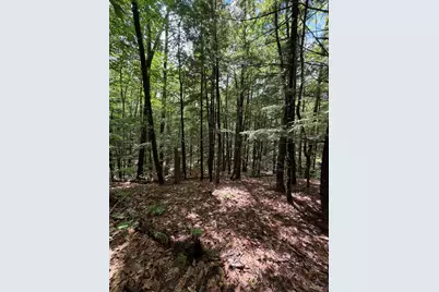 Lot 44 Rolfe Road, Harrison, ME 04040 - Photo 13