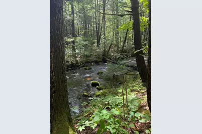 Lot 44 Rolfe Road, Harrison, ME 04040 - Photo 15