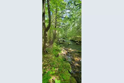 Lot 44 Rolfe Road, Harrison, ME 04040 - Photo 3
