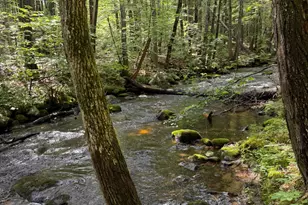 Lot 44 Rolfe Rd, Harrison, ME 04040 - Photo 1