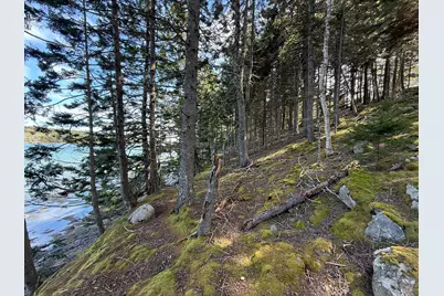 170 Harbor Road, Swans Island, ME 04685 - Photo 83
