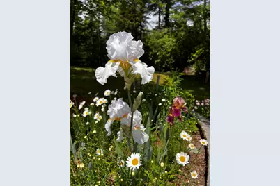 62 Hampden Woods Road, Hampden, ME 04444 - Photo 83