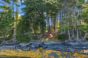 0 White Island, Harpswell, ME 04079 - Photo 31