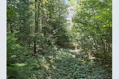 430 Townhouse Road, Sangerville, ME 04479 - Photo 39