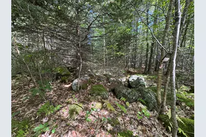 430 Townhouse Road, Sangerville, ME 04479 - Photo 23