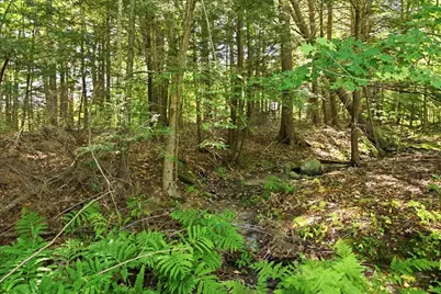 8 Higgins Street, Lisbon, ME 04252 - Photo 55
