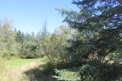 193 Golding Road, Perry, ME 04667 - Photo 5