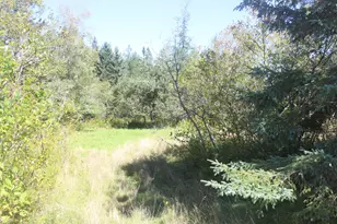 193 Golding Rd, Perry, ME 04667 - Photo 1