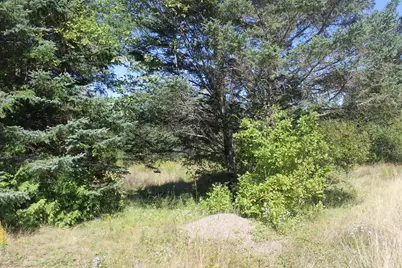193 Golding Road, Perry, ME 04667 - Photo 3