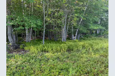 Lot 14 Off Bartlett Street, Machias, ME 04654 - Photo 7