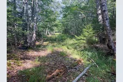 Lot 14 Off Bartlett Street, Machias, ME 04654 - Photo 13