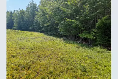 Lot 14 Off Bartlett Street, Machias, ME 04654 - Photo 5