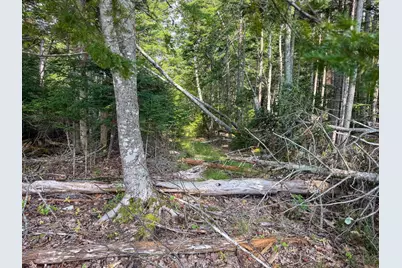 Lot 14 Off Bartlett Street, Machias, ME 04654 - Photo 11