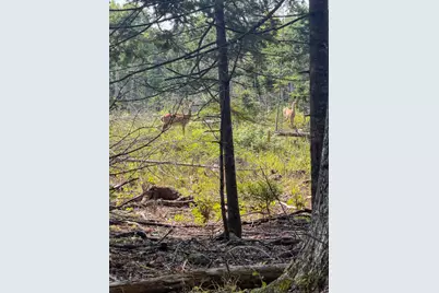 Lot 14 Off Bartlett Street, Machias, ME 04654 - Photo 9