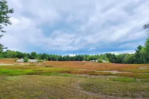 441 Eastbrook Rd, Eastbrook, ME 04634 - Photo 43