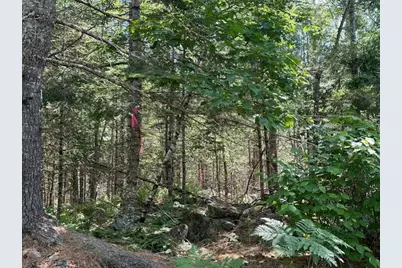 Lot #3 Bonnie Way, Winterport, ME 04496 - Photo 43