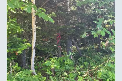 Lot #6 Bonnie Way, Winterport, ME 04496 - Photo 23