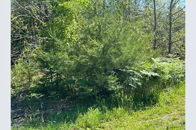 Lot #8 Bonnie Way, Winterport, ME 04496 - Photo 45