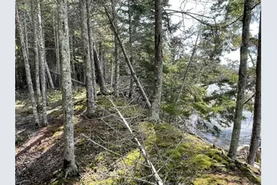 14 Heron Cove Road, Harrington, ME 04643 - Photo 11