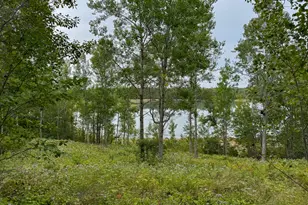 46 Lyons Rd, Lubec, ME 04652 - Photo 17