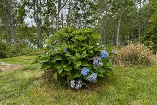 46 Lyons Rd, Lubec, ME 04652 - Photo 15