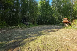 330 Chapman Rd, Presque Isle, ME 04769 - Photo 5