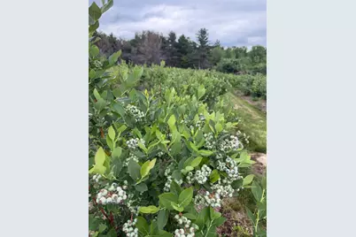 571 Main Street, Monmouth, ME 04259 - Photo 11