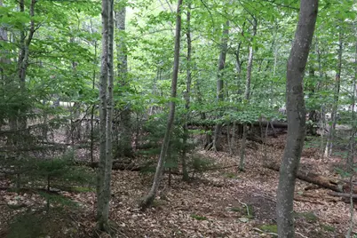 36 North Dorr Street, Greenville, ME 04441 - Photo 5