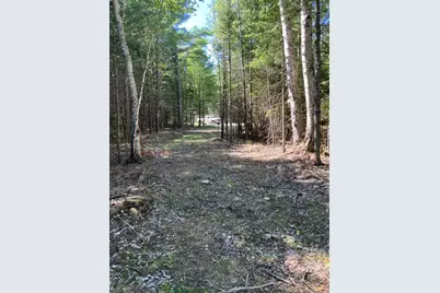 0 Spring Brook Drive, Lincolnville, ME 04849 - Photo 11