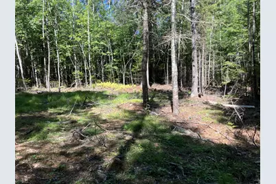 0 Spring Brook Drive, Lincolnville, ME 04849 - Photo 13