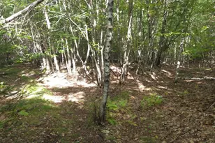 125 High St, West Paris, ME 04289 - Photo 39