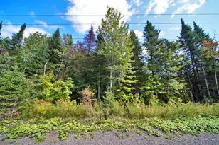 390 Foster Rd, Littleton, ME 04730 - Photo 59