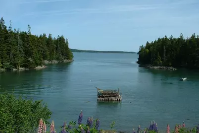Lot 95 N Duck Cove Road, Roque Bluffs, ME 04654 - Photo 19