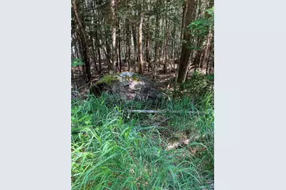 Lot 95 N Duck Cove Road, Roque Bluffs, ME 04654 - Photo 9