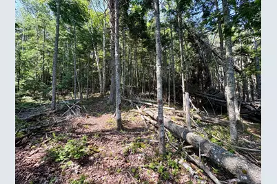 Lot 95 N Duck Cove Road, Roque Bluffs, ME 04654 - Photo 11