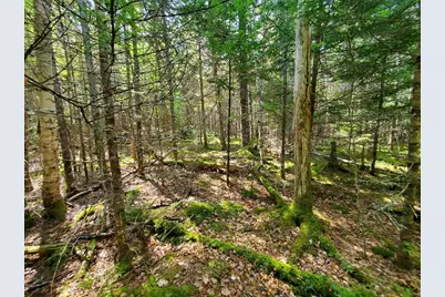 45/46D Duck Cove Road, Roque Bluffs, ME 04654 - Photo 17